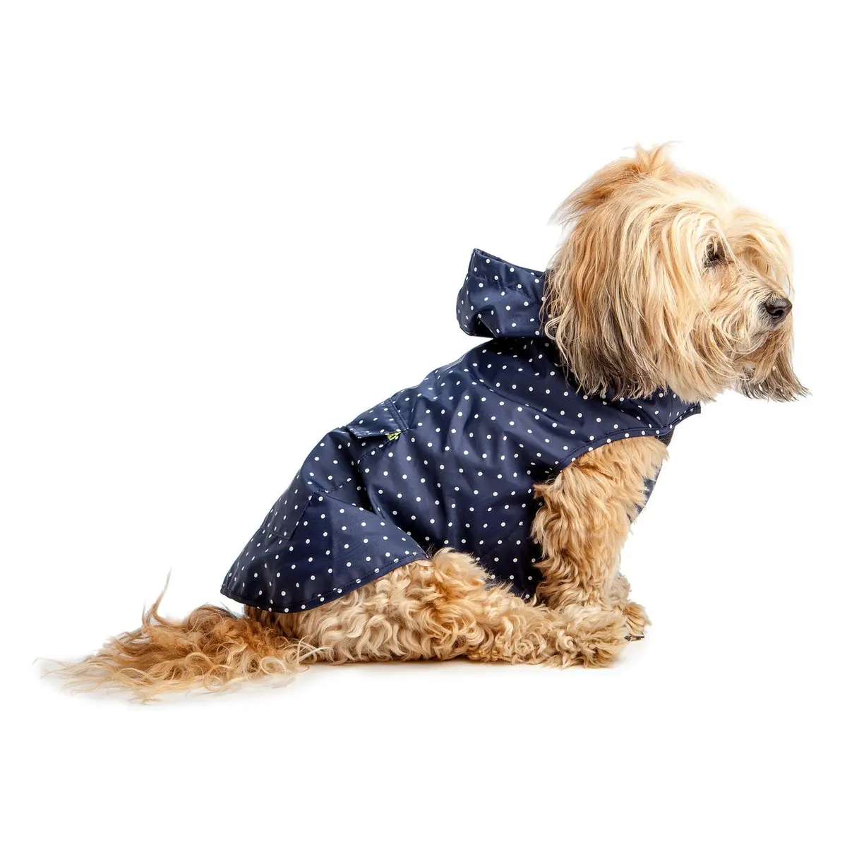 Ware Of The Dog | Polka Dot Anorak Raincoat In Navy 1