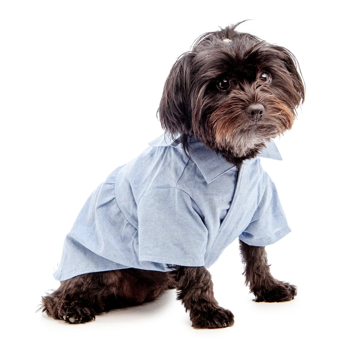 The Worthy Dog | Chambray Dress 1