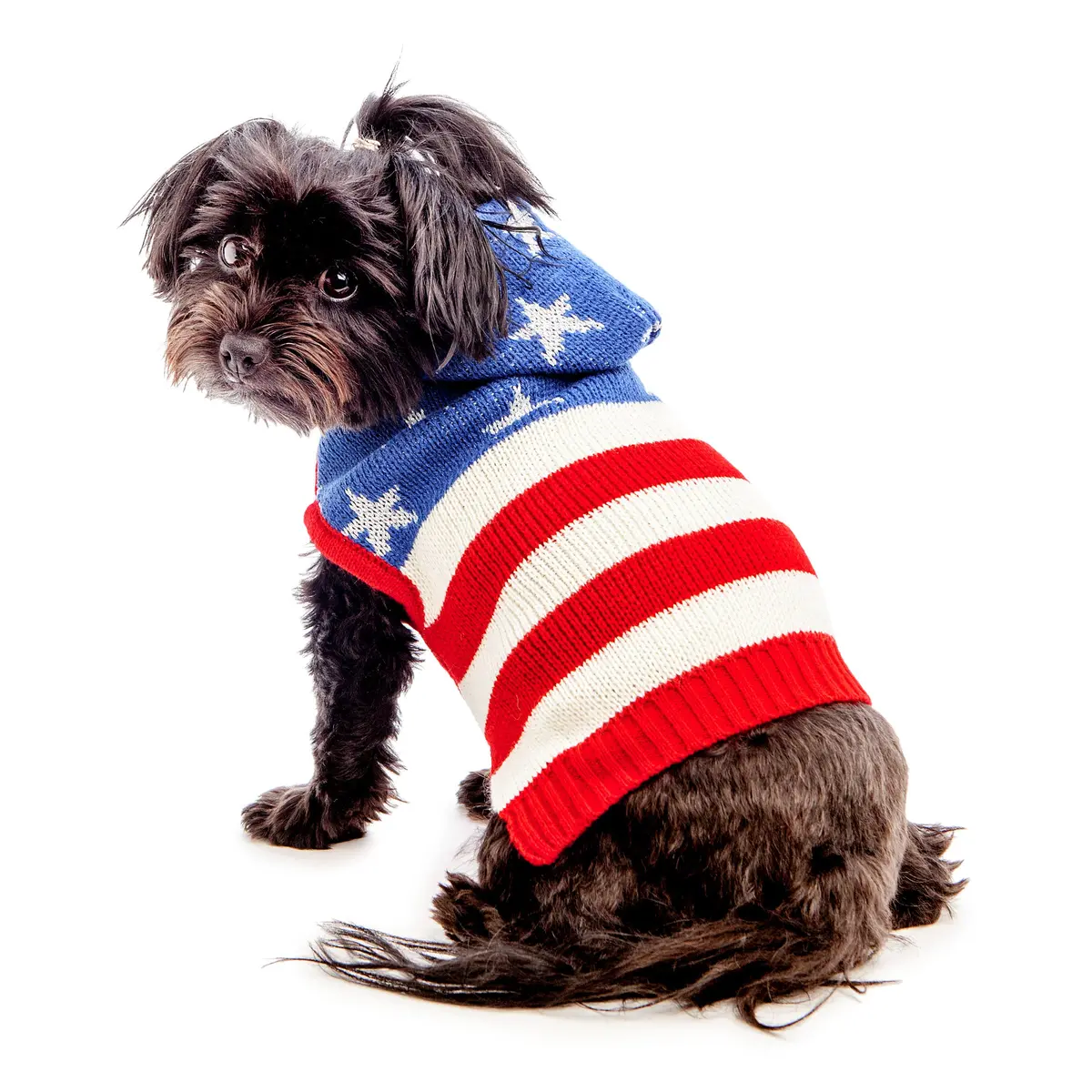 The Worthy Dog | Stars And Stripes Hoodie 1