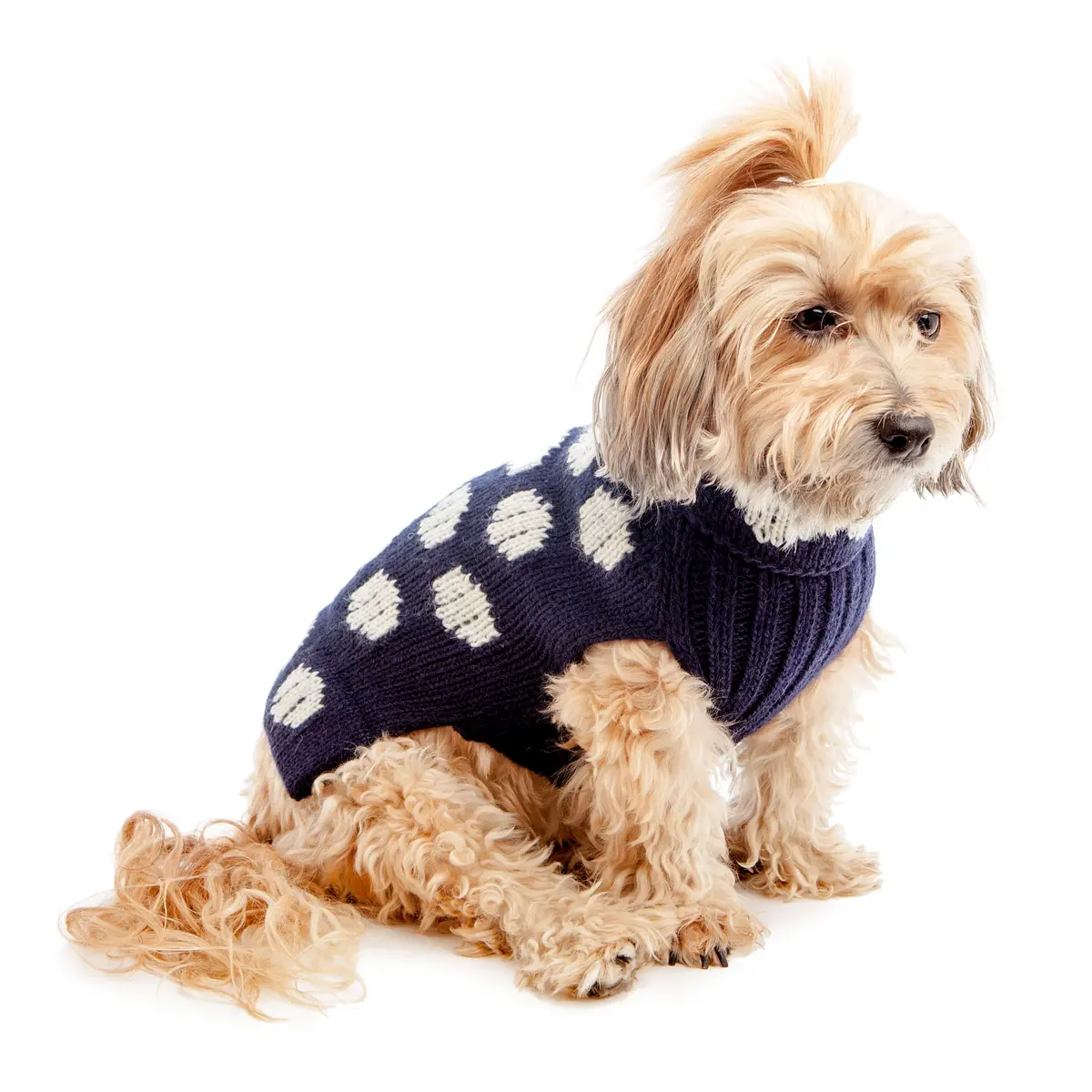 Peruvian Knits | Polka Dot Sweater 1