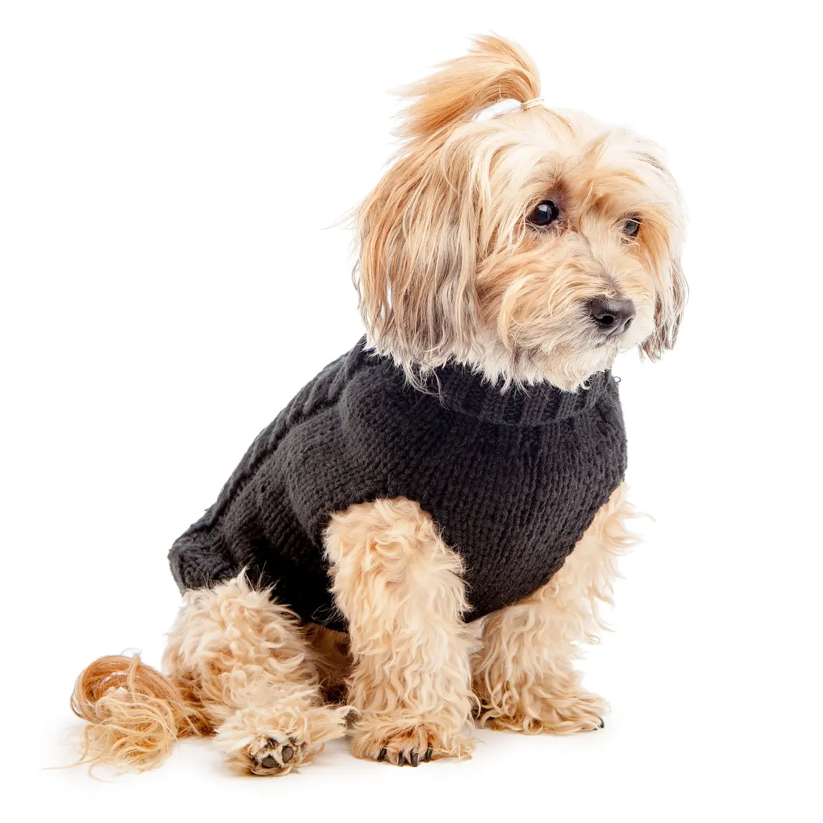Hand Knit Turtleneck Sweater In Black  (Final Sale)(Dog & Co. Exclusive) 1