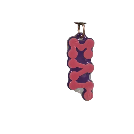 Sigma Lambda Gamma Bubble Greek Letter Acrylic Keychain 1