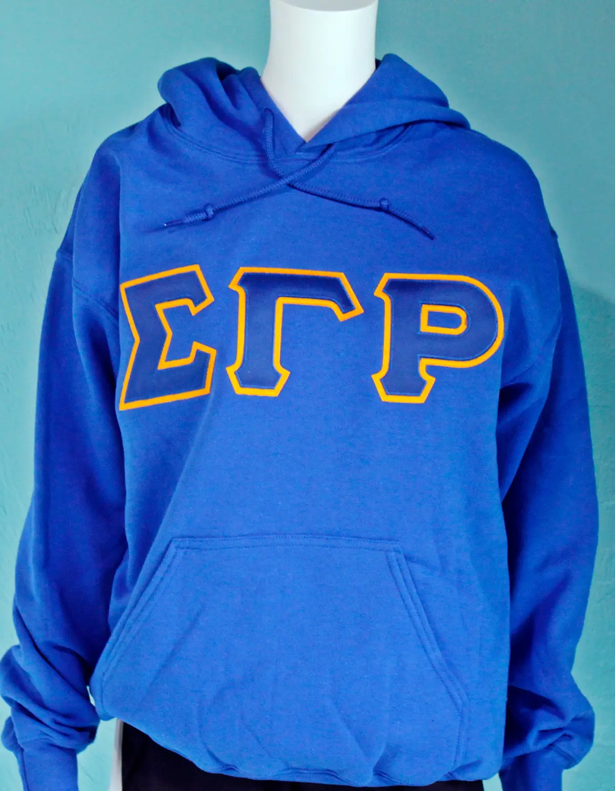 Sigma Gamma Rho Greek Hoodie 1