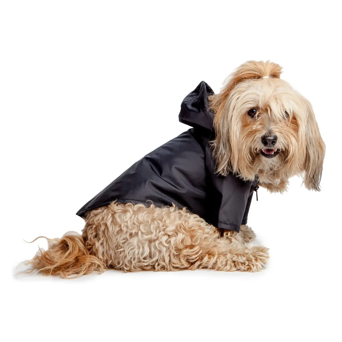 Wagwear | Nylon Rainbreaker In Black 1