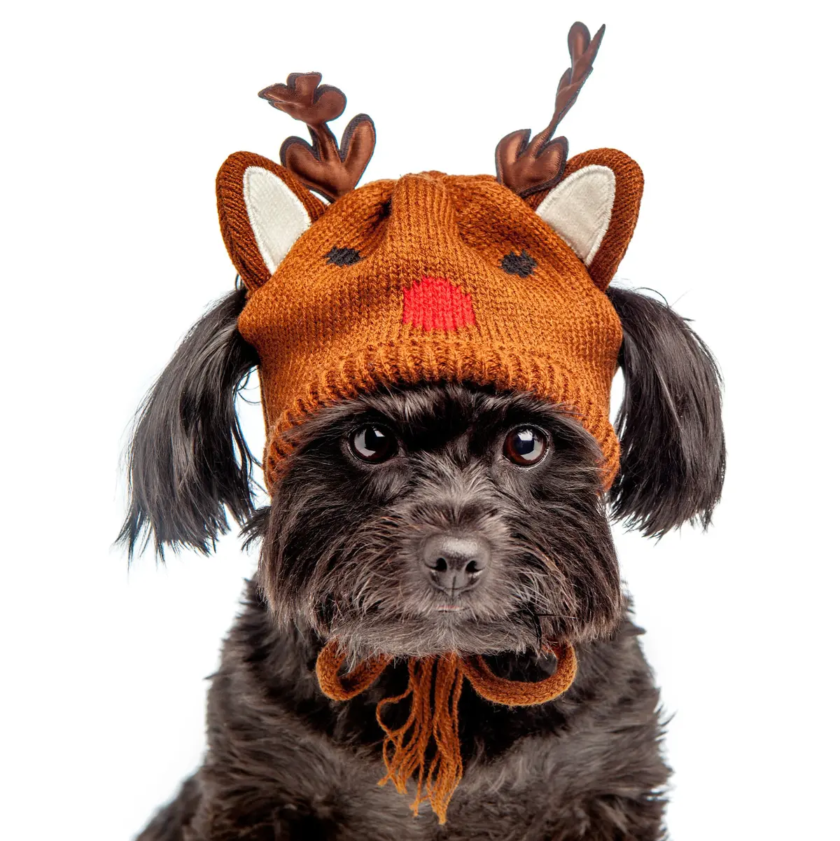 Worthy Dog | Reindeer Hat 1