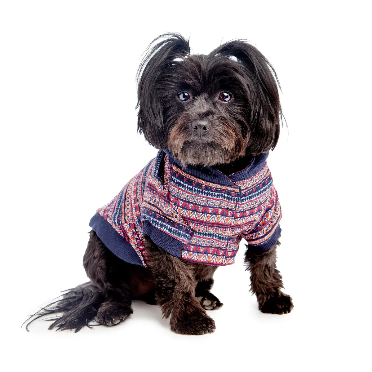 Croci | South American Sweatshirt 1