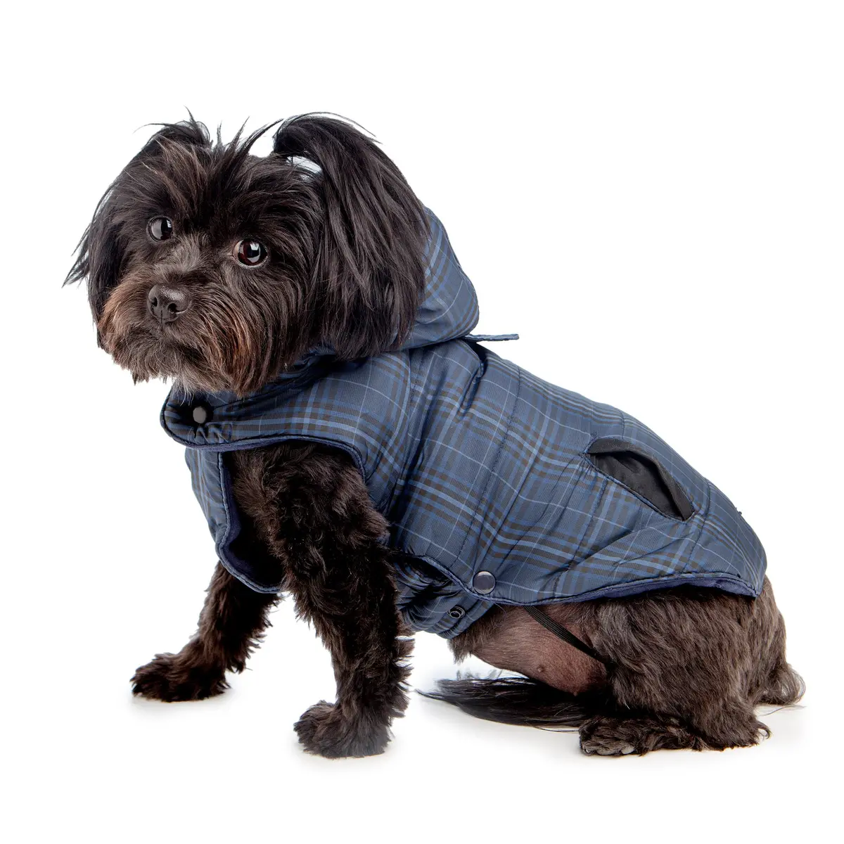 Croci | Padded Plaid Jacket 1