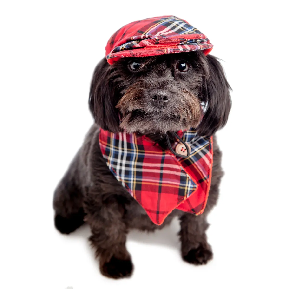 Croci | Plaid Cap + Scarf Set 1