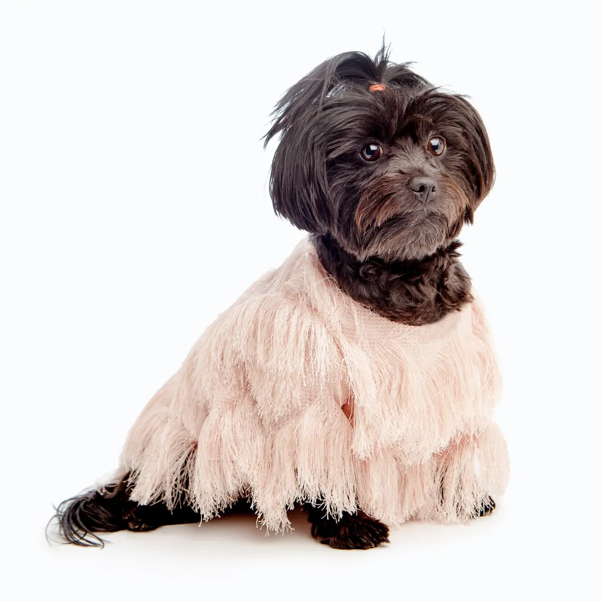 Duke & Dutchess | Fringe Coat In Blush 1