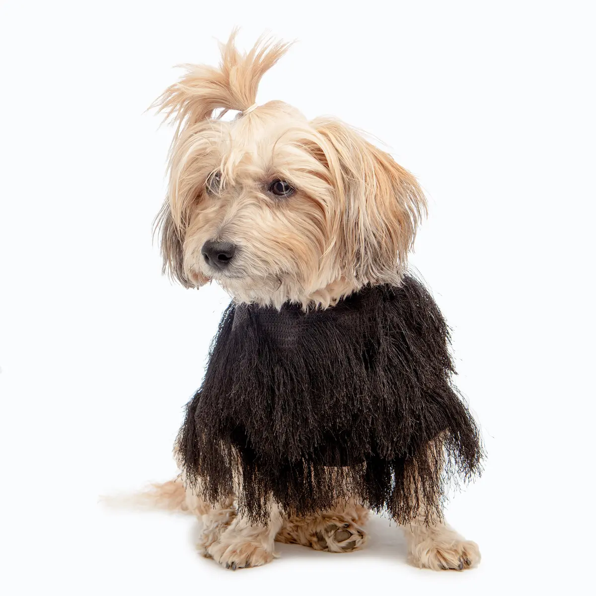 Duke & Dutchess | Fringe Coat In Black 1