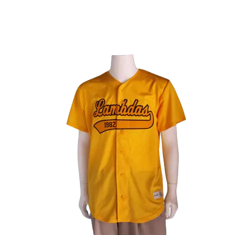Lambda Upsilon Lambda "Lambdas" Jersey 1