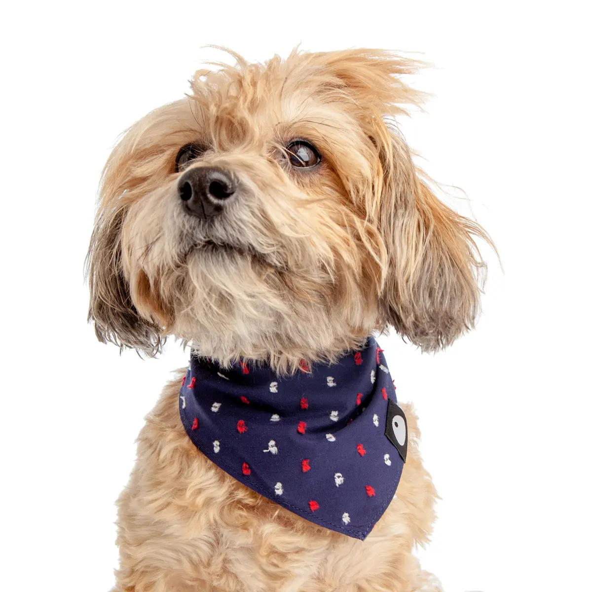Cotton Fleck Bandana In Navy + Red (Final Sale) 1