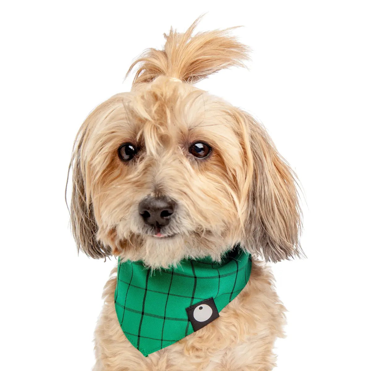 Check Bandana In Green 1