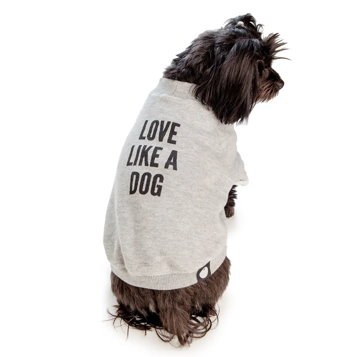 Dog & Co. | Love Like A Dog Crewneck Sweatshirt 1