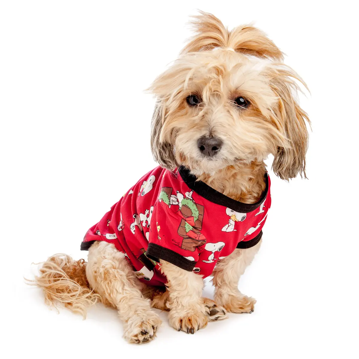 Bedhead | Snoopy's Christmas Lounge Dog T Shirt 1