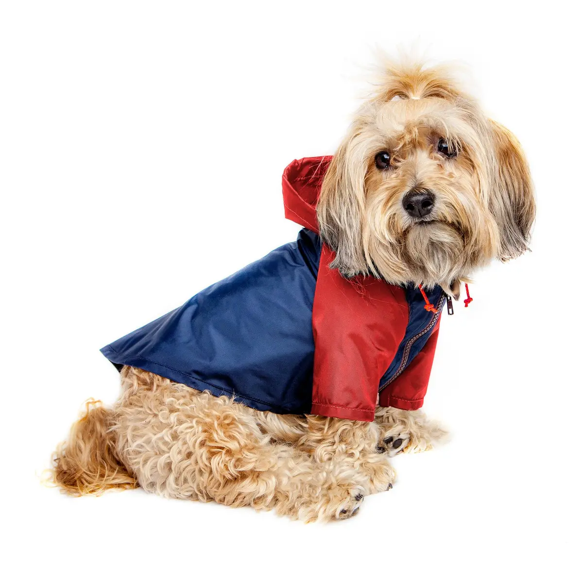 Nylon Colorblock Dog Rainbreaker In Navy + Red (Exclusive To Dog & Co.) (Final Sale) 1