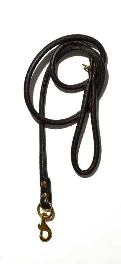 Mr. Dog | Black Nylon Leash 1