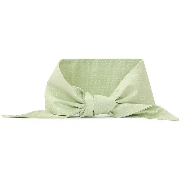 Neck Tie In Mint Polkadot (Final Sale) 1