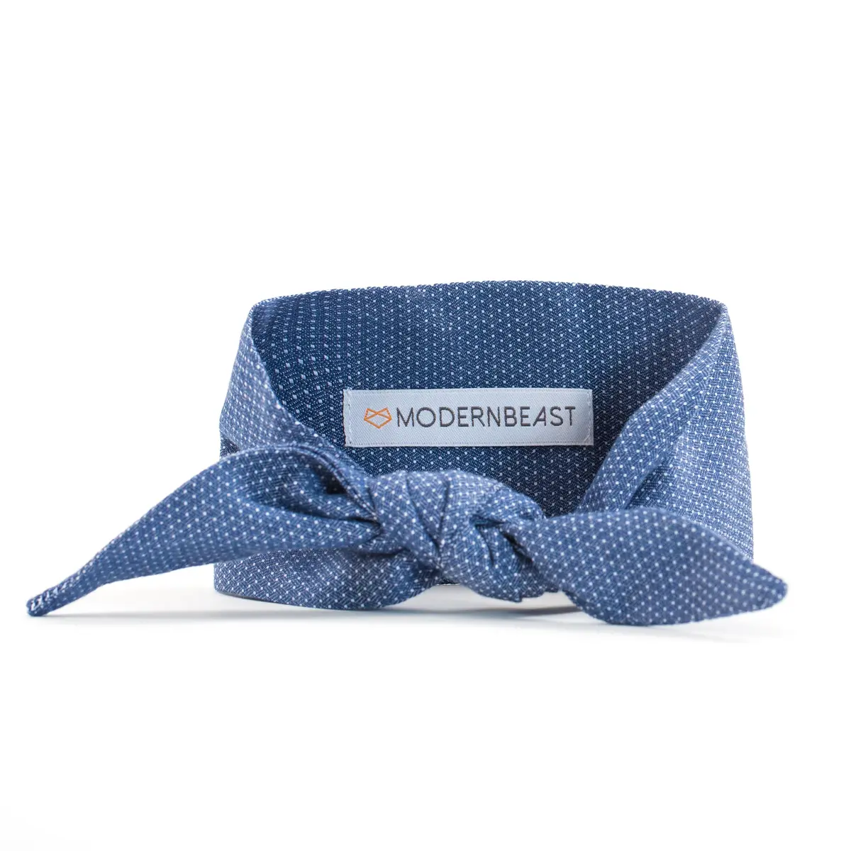 Modern Beast | Neck Tie In Petite Polkadot 1