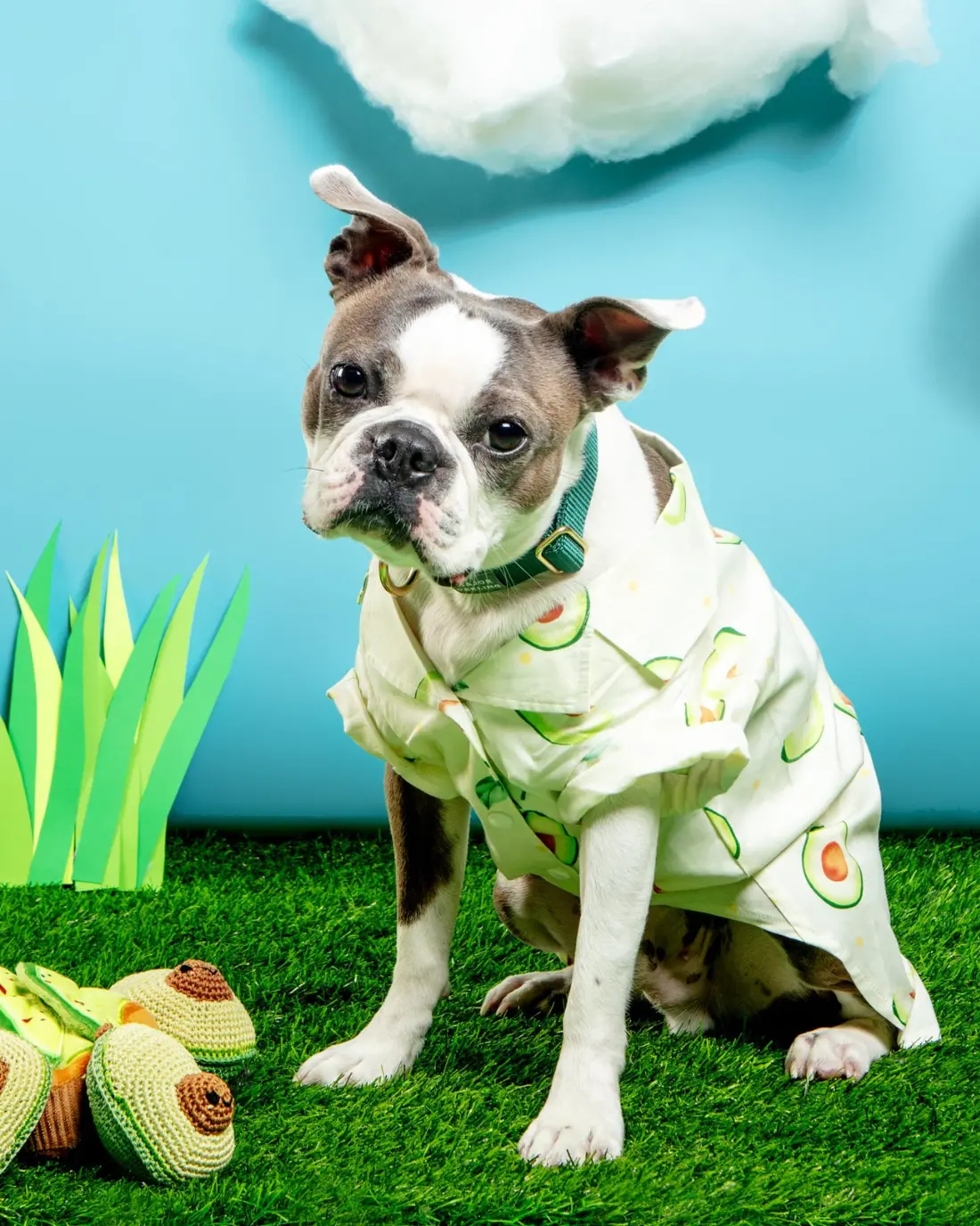 Avocado Button Dog Shirt For Dogs 1