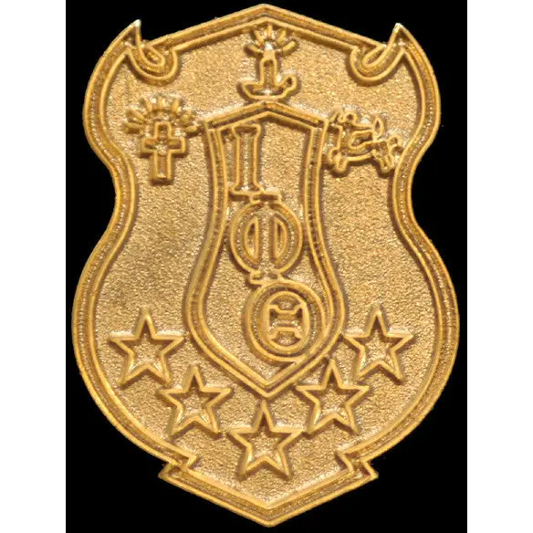 Iota Phi Theta Sandblast Shield Pin 1