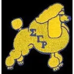 Sigma Gamma Rho Image Patch 1