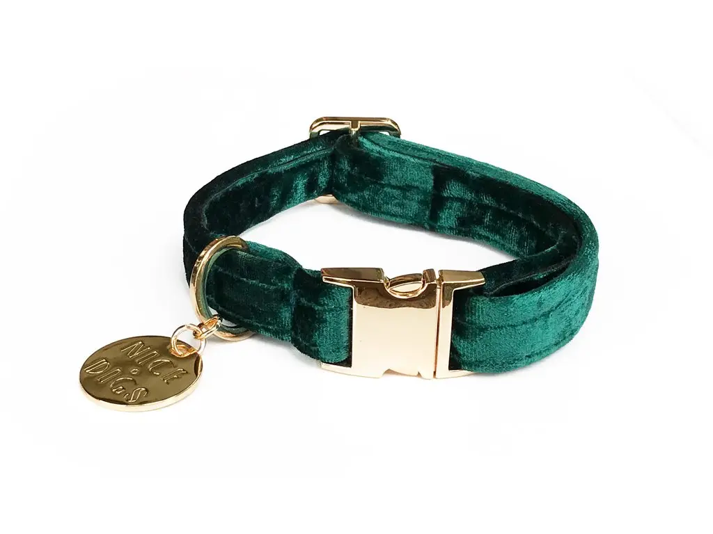 Nice Digs | Velvet Dog Collar In Jade 1