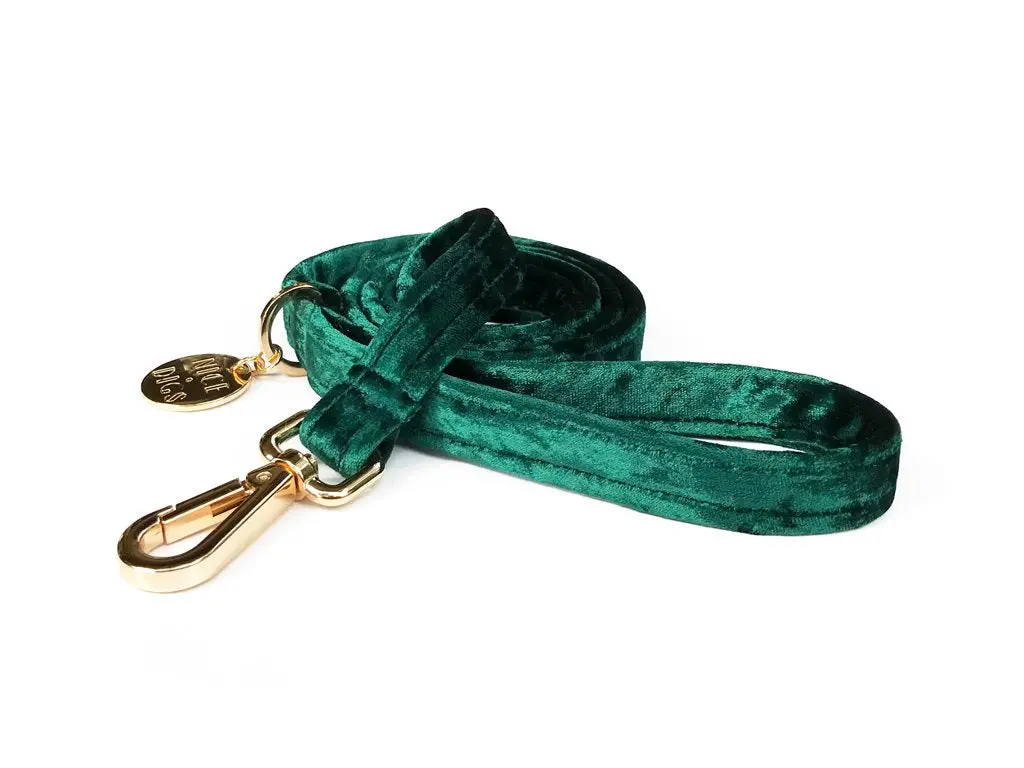 Nice Digs | Velvet Dog Leash In Jade 1
