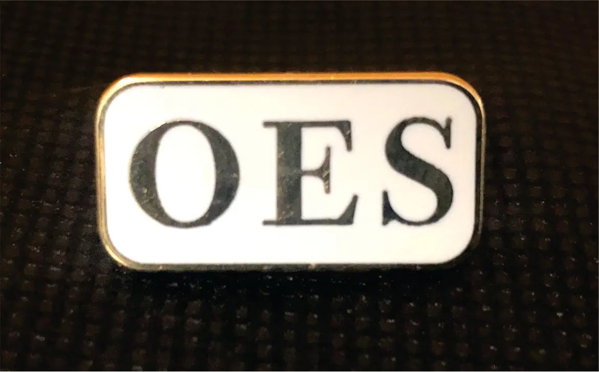 Order Of The Eastern Star " Rectangle" Pin 1