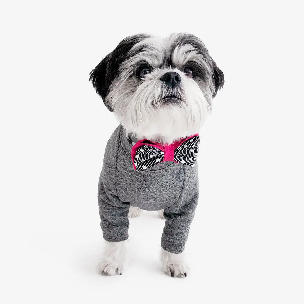 Oh Honey Bear | Lewis Bow Tie 1