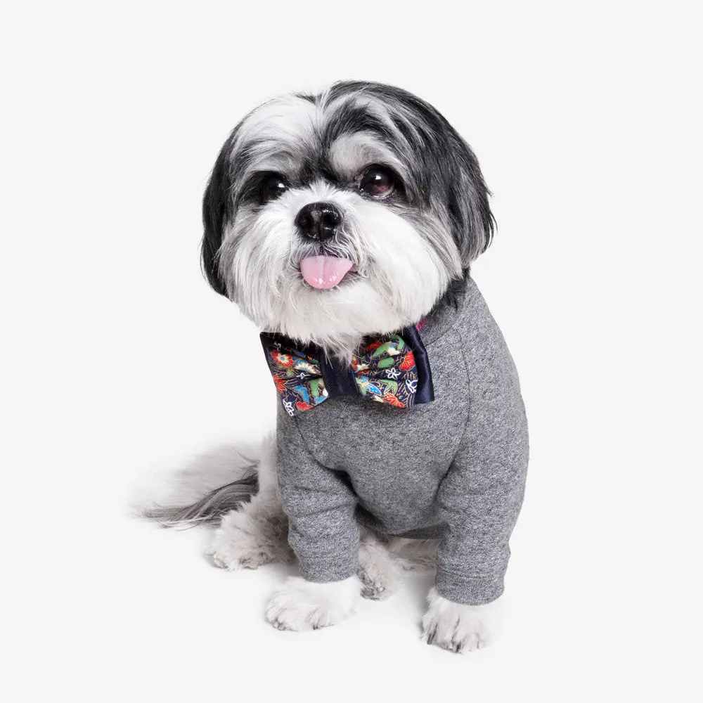 Oh Honey Bear | Prosperity Bow Tie 1