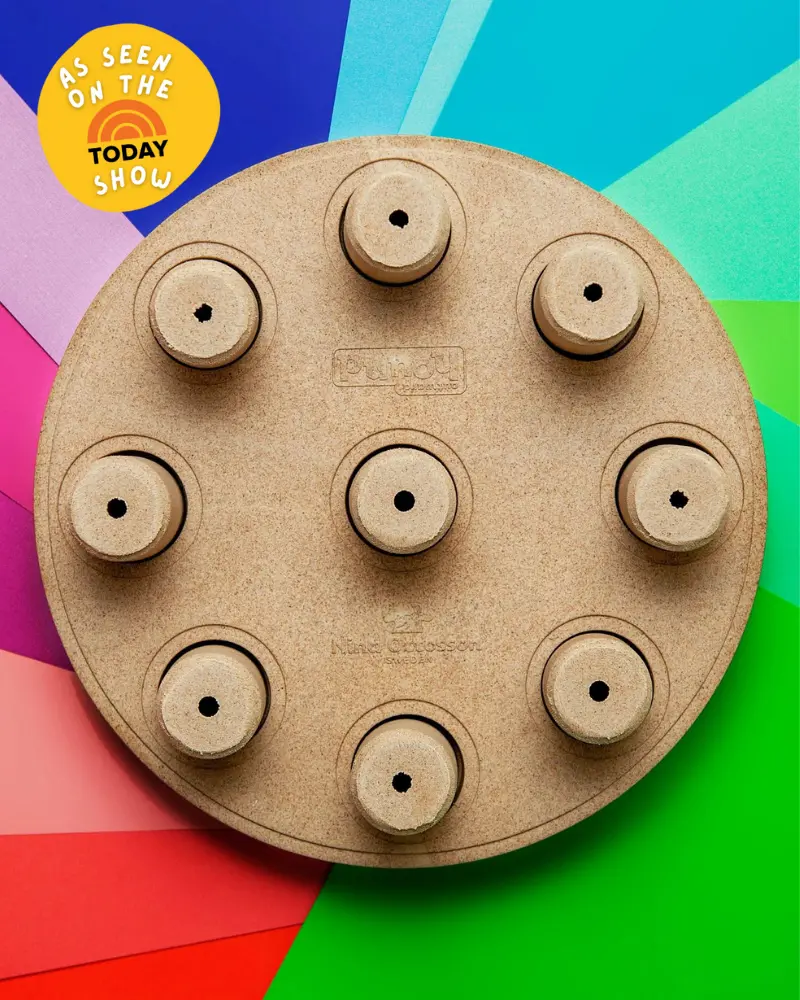 Dog Smart Treat Puzzle Game 1