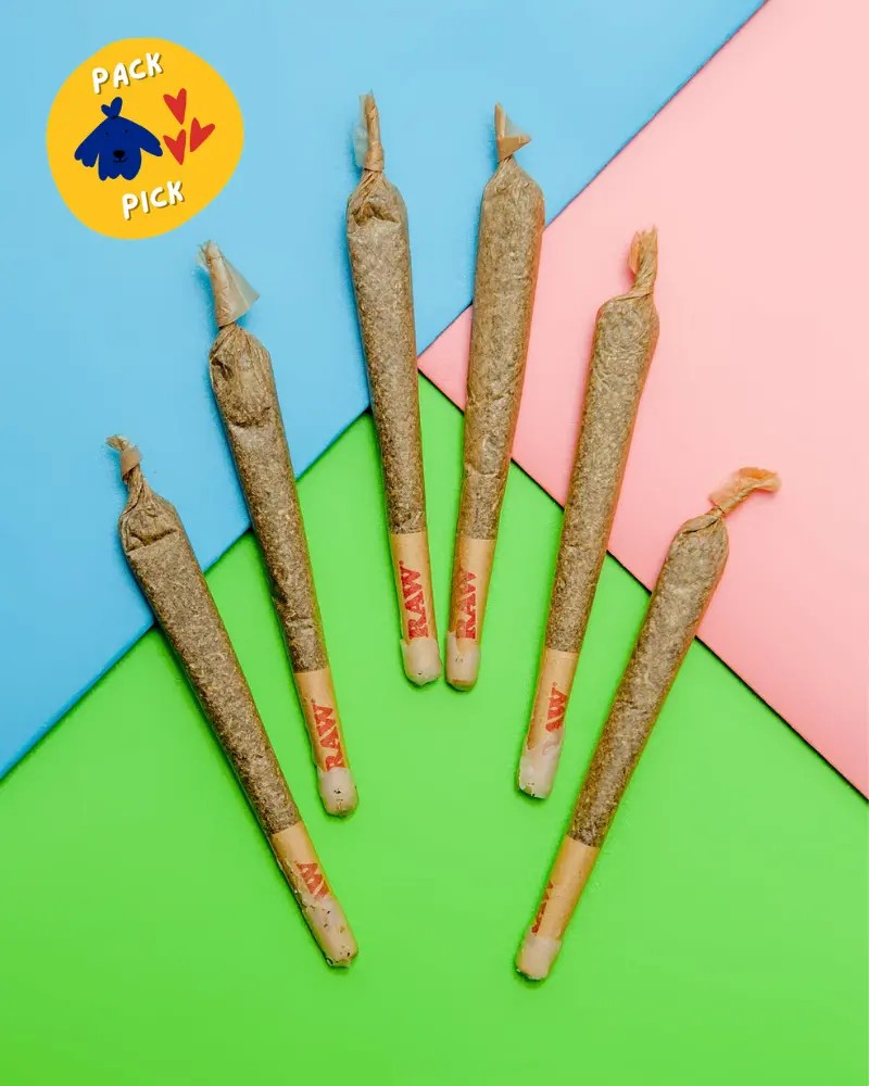 Catnibas Meowy J's Catnip Joints 1