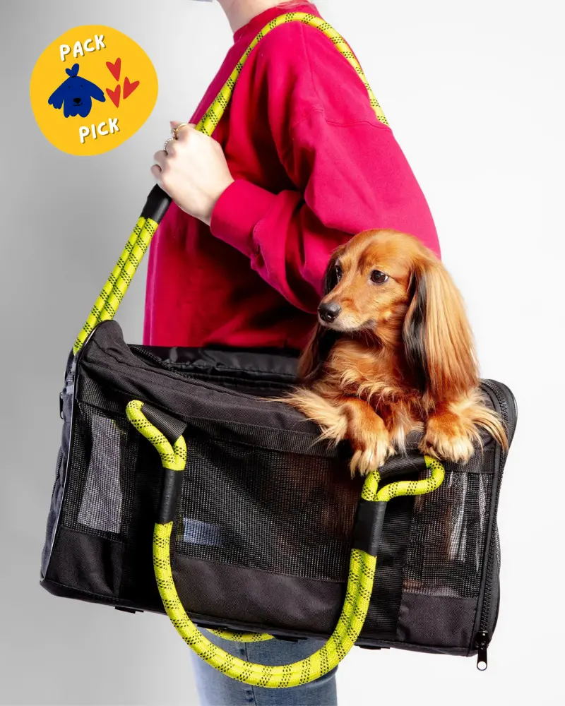 Out-Of-Office Airline Compliant Pet Carrier In Black W/ Neon Yellow (Pro Edition) 1