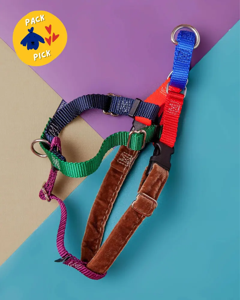 Freedom No-Pull Harness In Spice (Made In The Usa) 1