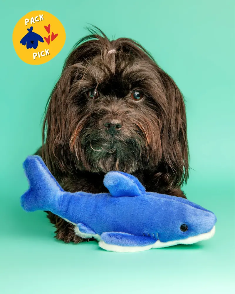 Baby Bruce Shark Plush Dog Toy 1