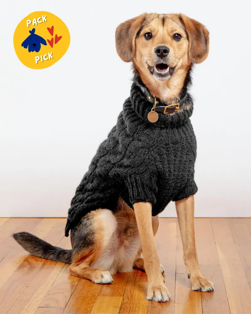 Downtown Roll Neck Dog Sweater In Black (Final Sale) 1