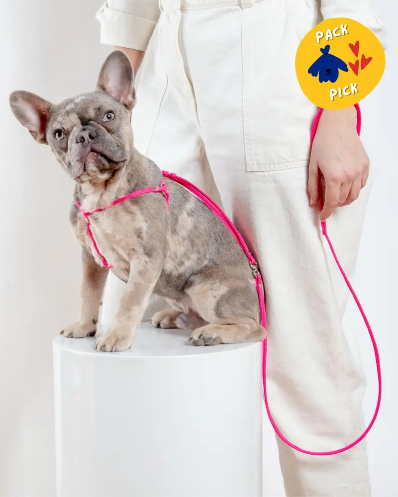 Step-In Adjustable Dog Harness In Neon Pink (Made In The Usa) 1