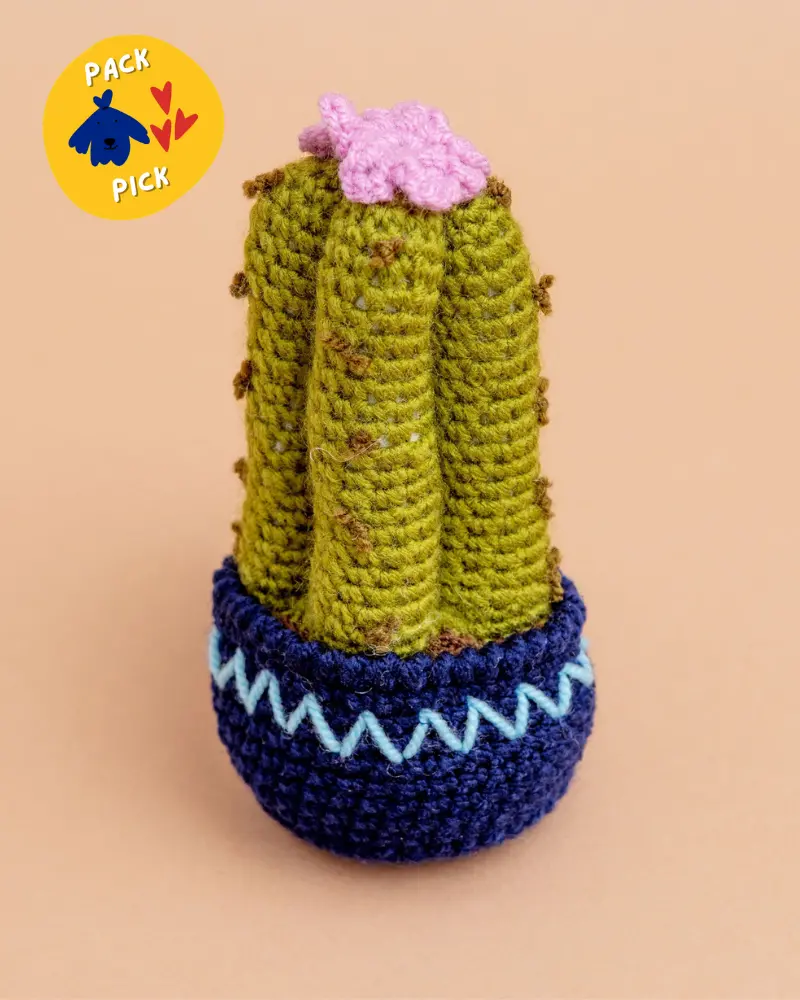 Hand-Knit Cactus Squeaky Dog Toy (Final Sale) 1