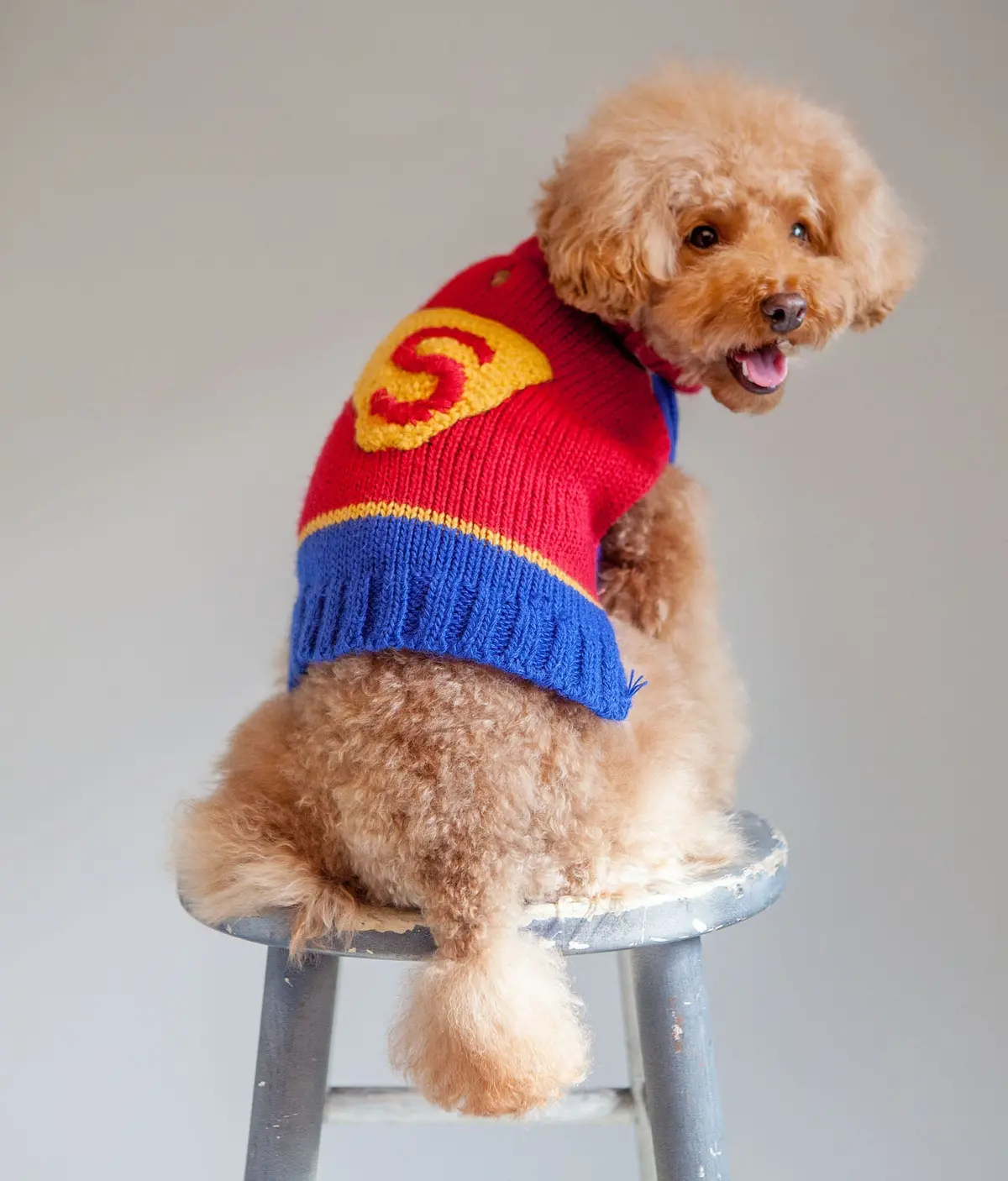 Superdog! Hand Knit Sweater << Clearance >> 1