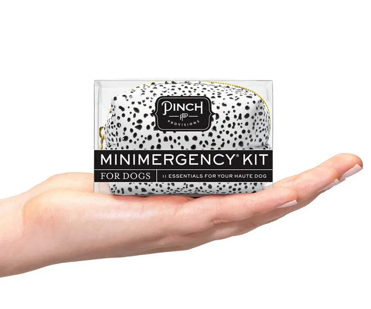 Minimergency Kit For Dogs 1