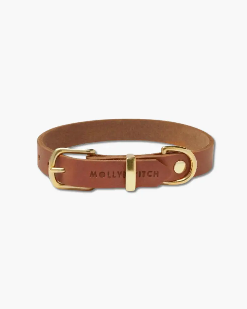 Butter Leather Dog Collar In Sahara Cognac (Made In Austria) 1