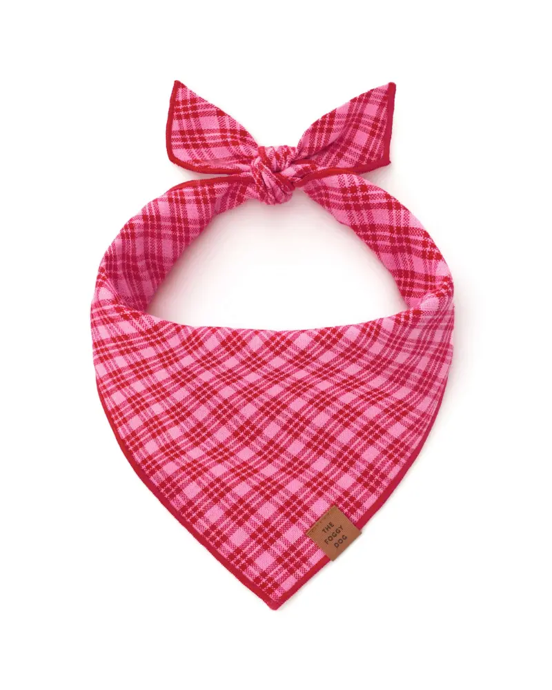 Hth X Tfd Katherine Plaid Dog Bandana (Made In The Usa) 1