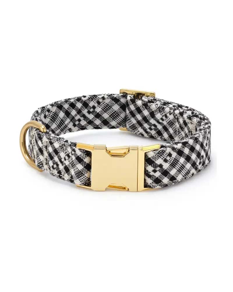 Hth X Tfd Soho Black Dog Collar (Final Sale) 1