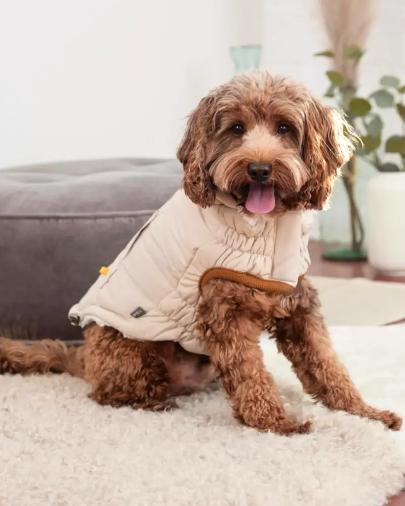 Arctic Dog Parka In Sand 1