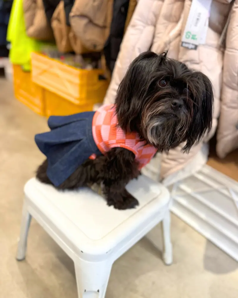 Doggie Denim Skirt (Made In The Usa) 1