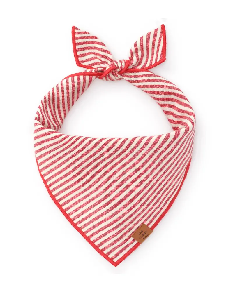 Red Stripe Dog Bandana (Final Sale) 1