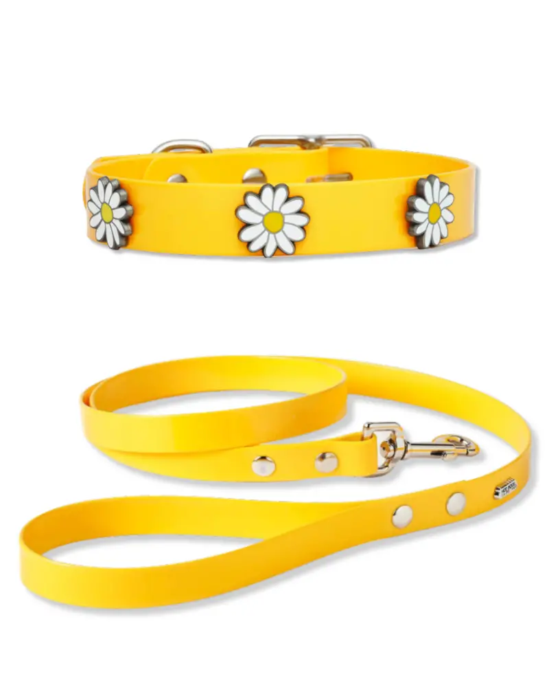The Daisy Hydro Collar + Leash Set (Made In Canada) 1