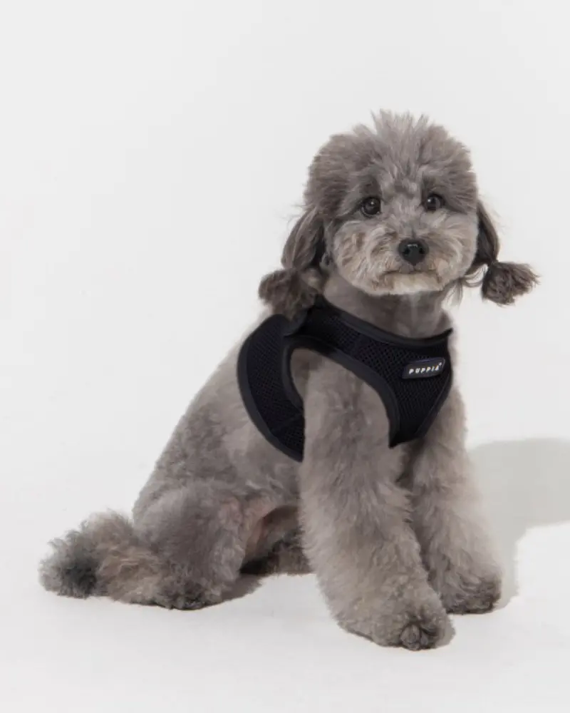 Soft Vest Dog Harness In Black 1