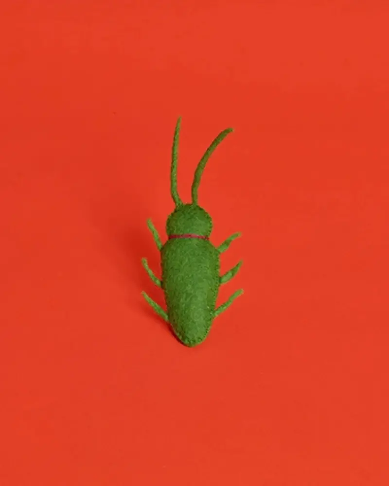 Wool Bug Catnip Toy 1